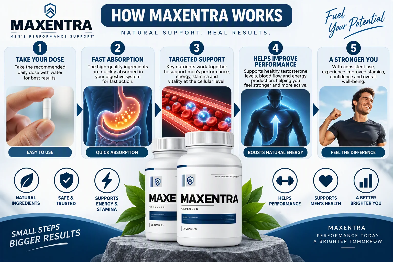 How Maxentra works — take your dose, fast absorption, targeted support, helps improve performance, a stronger you